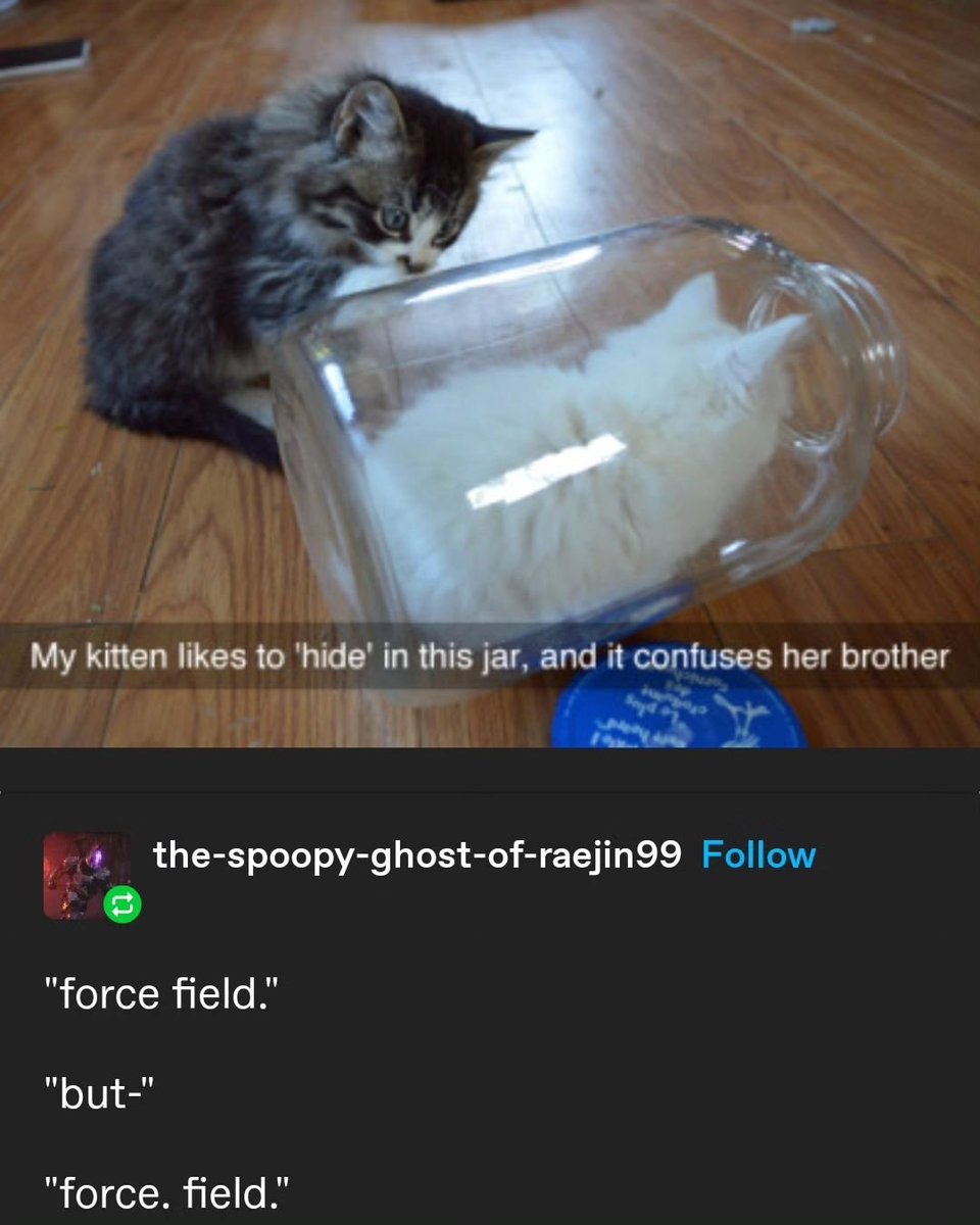 Punch Cat (@punchingcat) on Twitter photo 