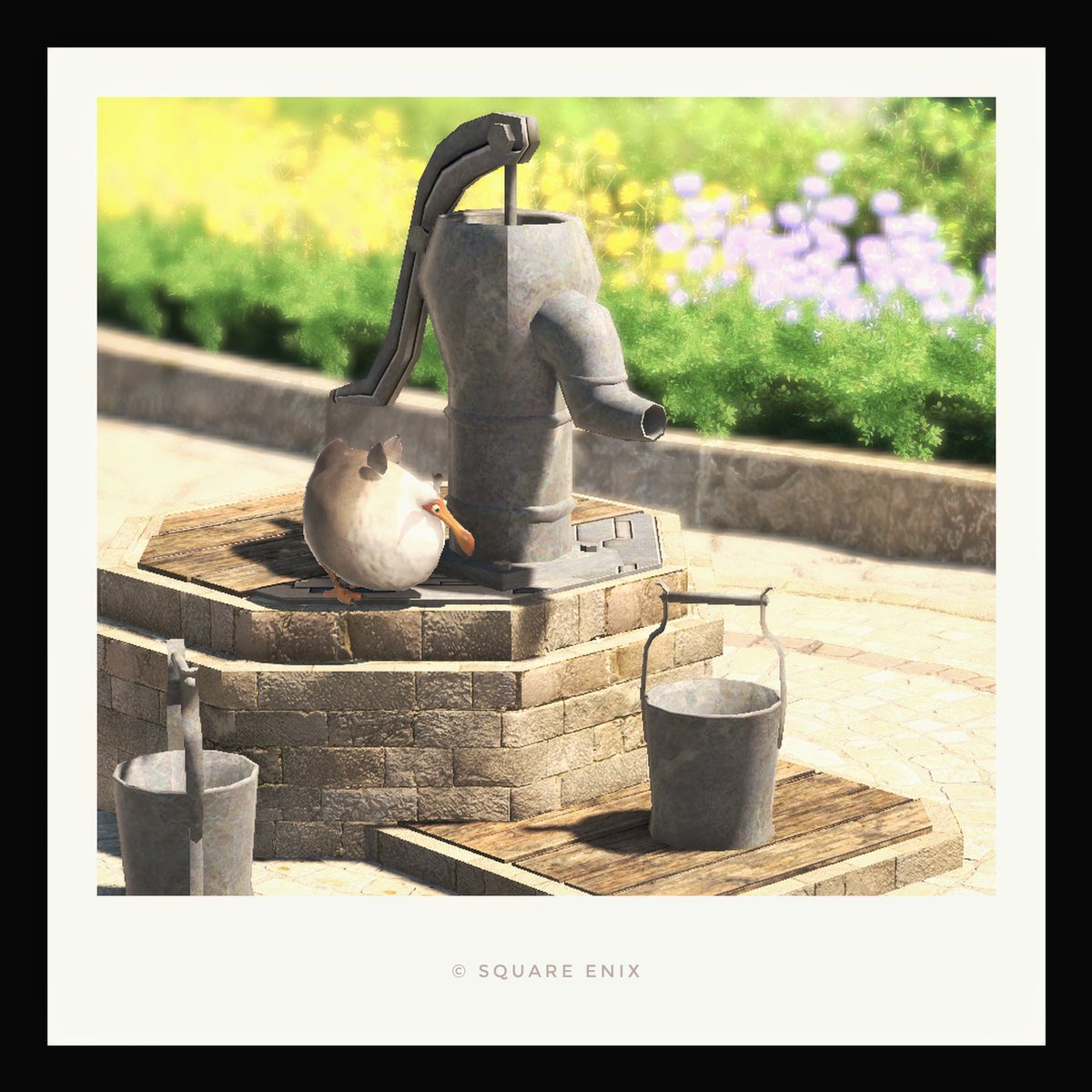 👀🦤
#おはドド