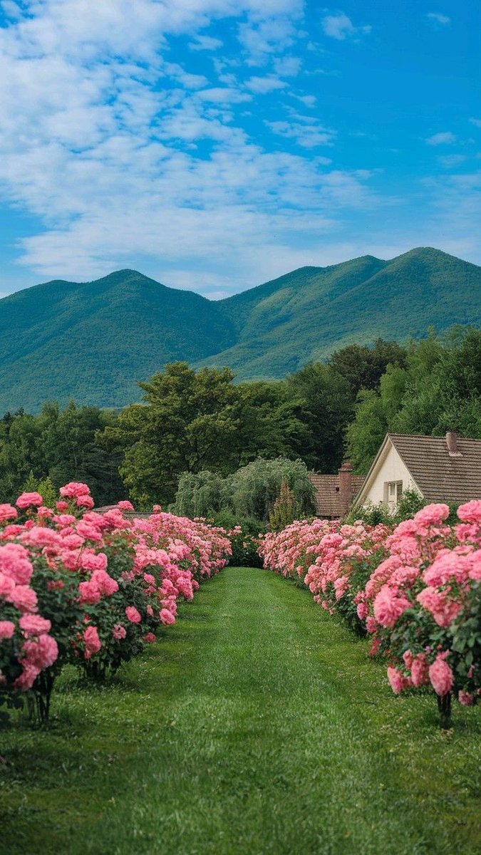 greendreamvibes's tweet image. Heavenlike