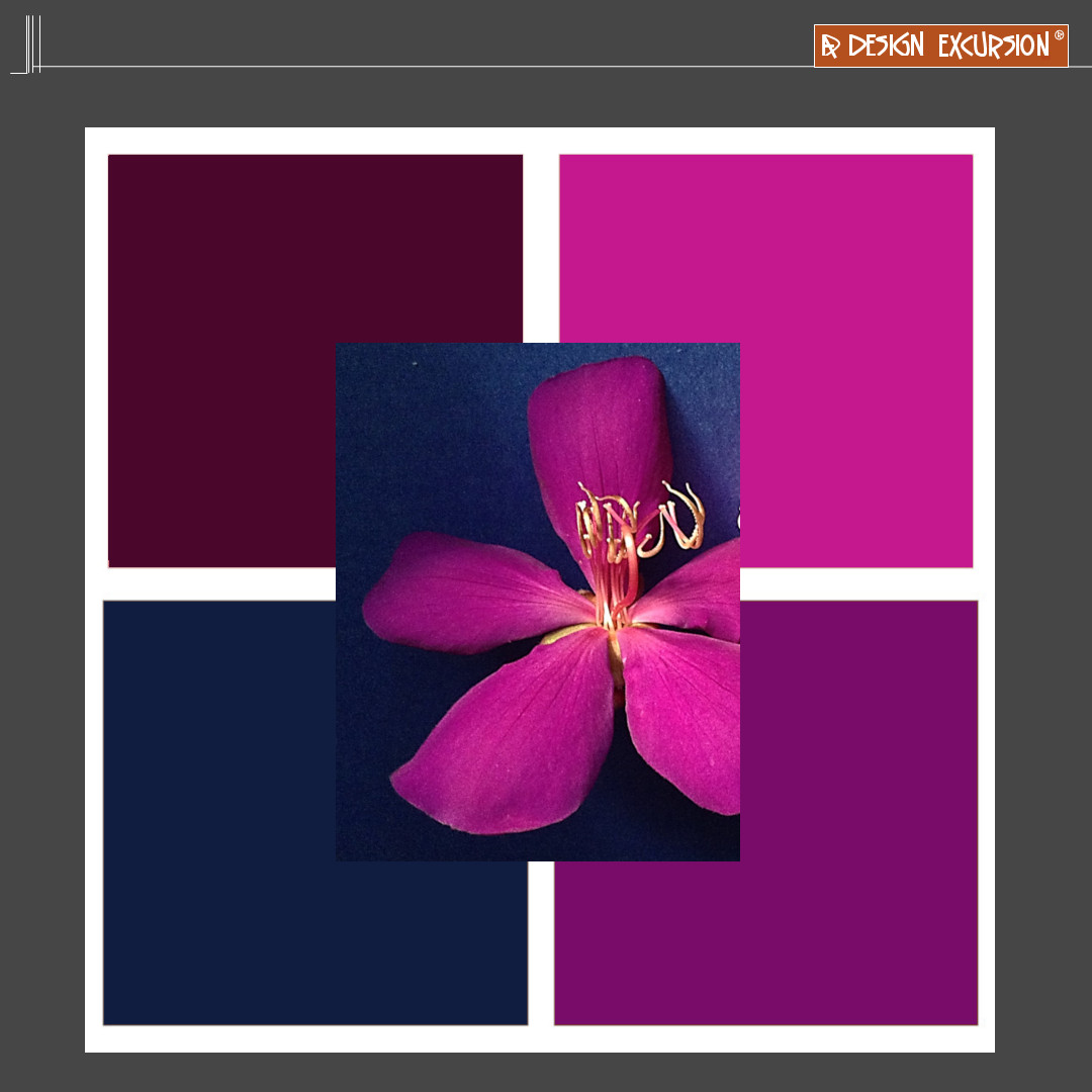 designexcursion's tweet image. in harmony with low value light

#redpurple #magenta #interiordesign #hotpink #design #inspo
#adesignexcursion #moodboard