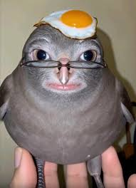 IgPie tweet media