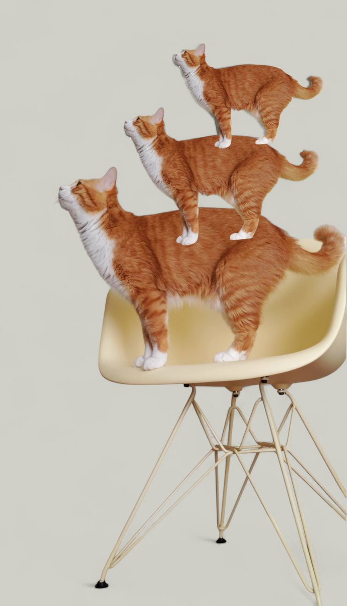 MapoTofuCatMabo's tweet photo. 新しい待ち受け画像🐴🐶🐈️🐓
#猫好きさんとつながりたい #猫のいる暮らし𓏲𓎨  #保護猫まぼちゃん #猫 https://t.co/XFIJL0XGNt