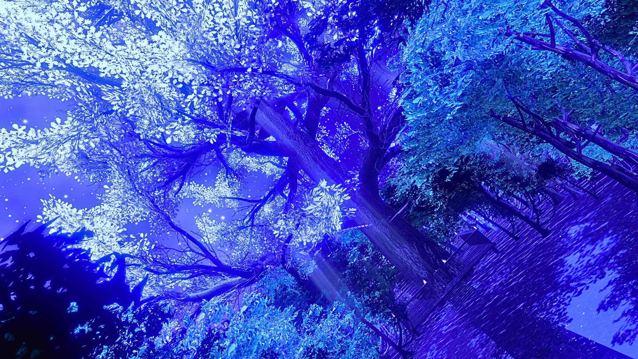 【希望の輝き】翼 ,羽根,鳥 羽,樹木,青空,星,bird,おしゃれ,星空,樹木 TITOR on X: 