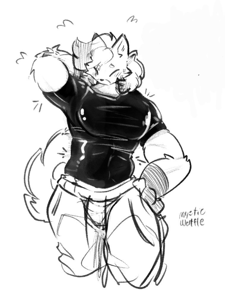 Aerodynamic Shirt for Waffle 🧇