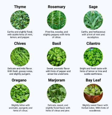 KristenJakobitz's tweet photo. Instead of relying on salt or heavy sauces, learn to love fresh herbs. Basil, cilantro, and parsley can completely transform a dish. 

Add fresh basil to a tomato sauce, sprinkle cilantro on your tacos, or roast your favorite vegetables with rosemary. This adds vibrant flavor without the extra calories or sodium.
#Herbs #HealthyEating #HealthTips