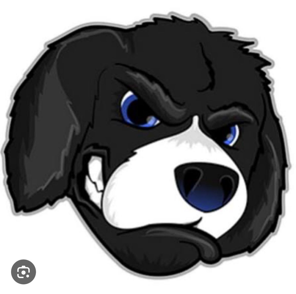 Principia HS Women’s Basketball- Coach Spuhl tweet media