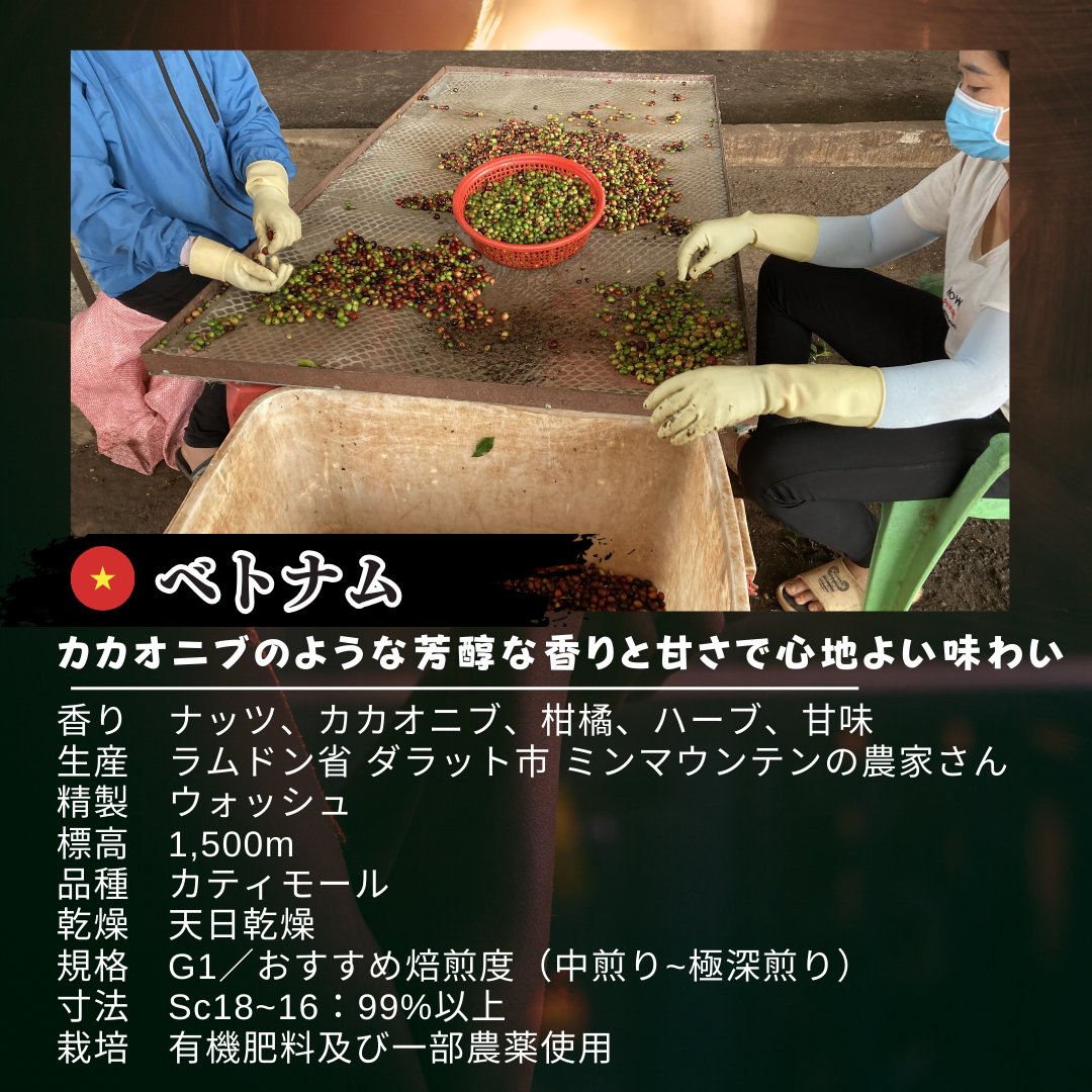 neconomecoffee's tweet photo. #ベトナム #ミンマウンテン #ラムドン #深煎り カカオニブのような芳俊な香りと甘さで心地よい味わい。#自家焙煎コーヒー #炭火 #北海道 #ねこのめ #珈琲 https://t.co/47tj8JADse