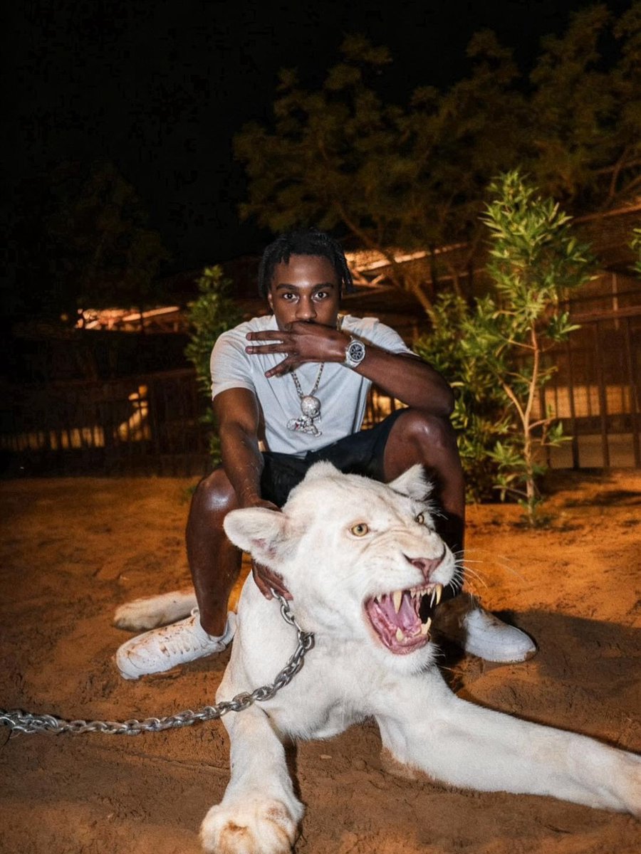 Liltjay1805's tweet photo. KING OF THE JUNGLE 😤 https://t.co/Rc3YbxrJJZ