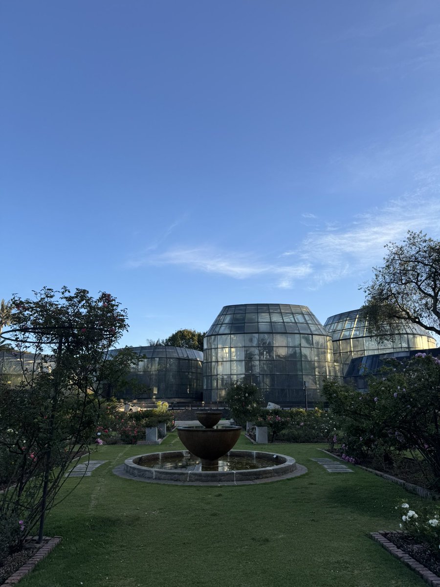 juanmdiazma's tweet photo. 🙋🏻‍♂️| Hoy entregamos la máxima distinción del Distrito “José Acevedo y Gómez en el Grado Gran Cruz” al @JBotanicoBogota por su invaluable aporte a la biodiversidad de Bogotá. Con 20 hectáreas de naturaleza y 304 familias de plantas, este jardín es un tesoro para nuestra amada ciudad. 

Es un honor condecorar a esta institución por su dedicación y pasión por la conservación y educación ambiental. Su trabajo inspira a futuras generaciones a cuidar y proteger nuestro planeta. ¡Felicitaciones al Jardín Botánico José Celestino Mutis por este merecido reconocimiento!