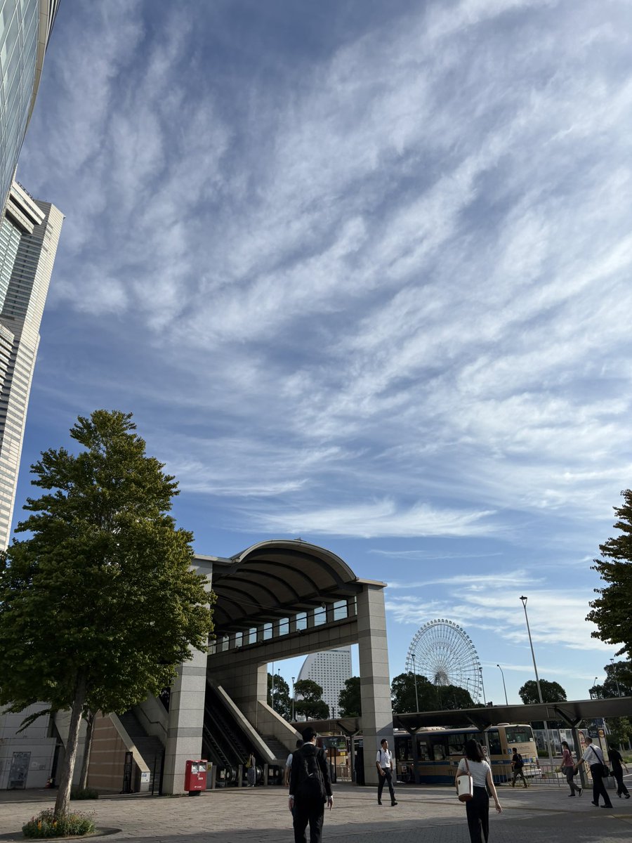 igusuke's tweet image. 秋っぽくなってきました