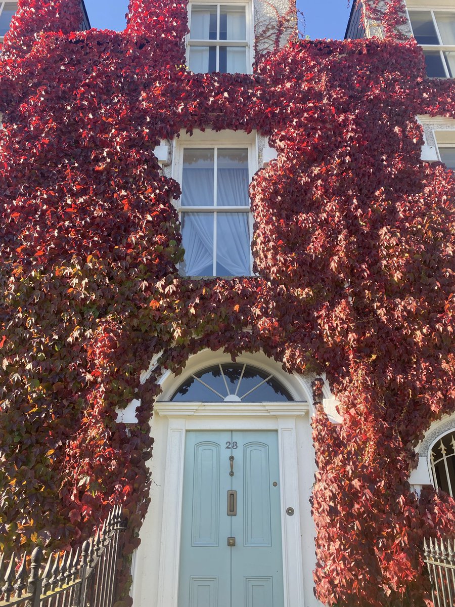 Angel of God, my guardian dear, 
To whom God’s love commits me here, 
Ever this day, be at my side, 
To light, to guard, to rule, and guide. 
Amen