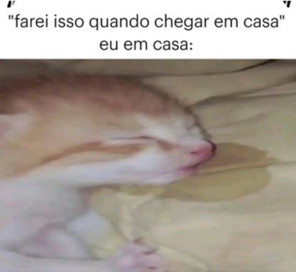 Trouxinha (@euovitinn) on Twitter photo 