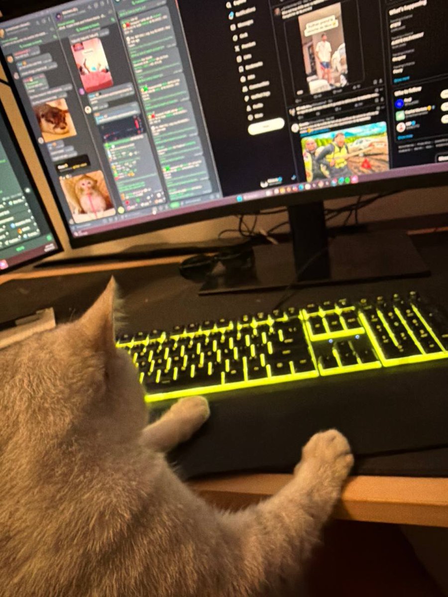 Coussins tweet media