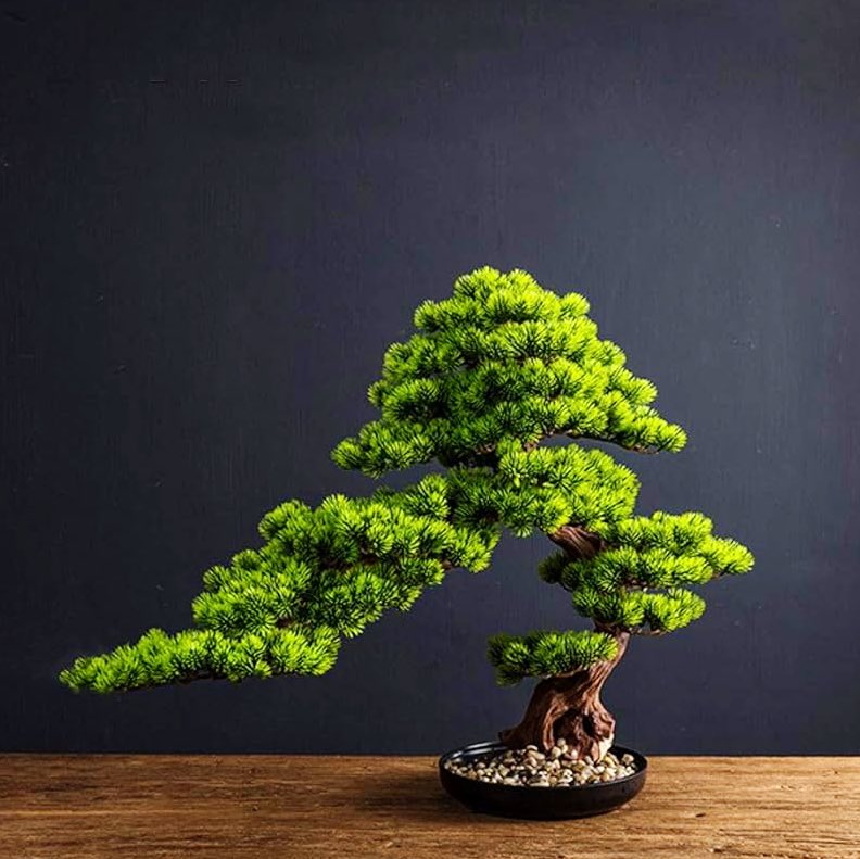 "The bonsai master plants a seed, not for himself, but for the one who will tend it generations later."