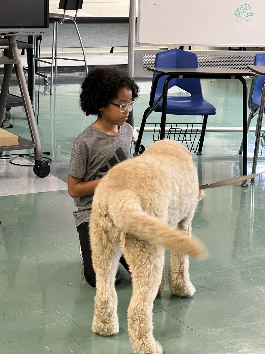 WestBrookMS tweet media