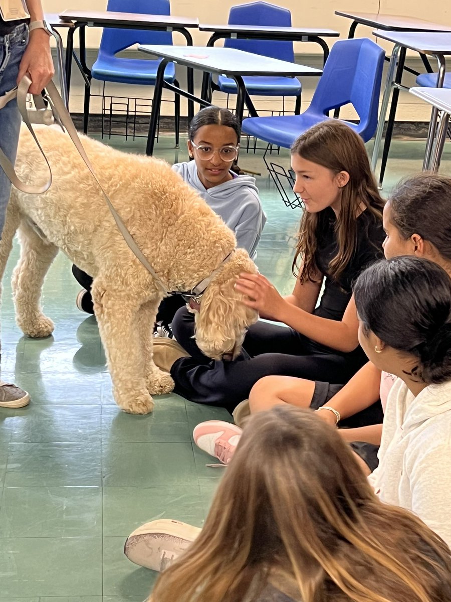 WestBrookMS tweet media