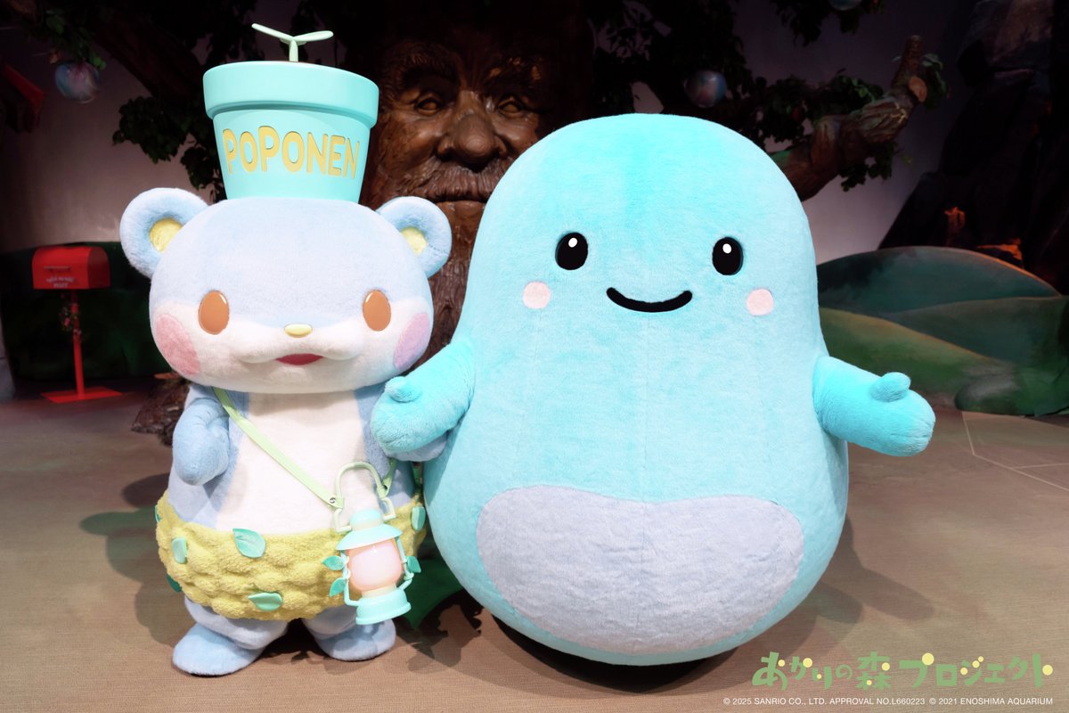 poponen2020's tweet image. あわたんがカワウソの仲間が増えたって教えてくれたで！
カシワっていう名前の6歳の男の子で、何とヨモギの息子なんやって🦦！
会えるのが待ち遠しいな～✨

enosui.com/newsentry.php?…

＃新江ノ島水族館 ＃えのすい ＃カワウソ