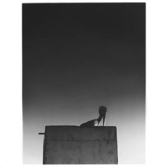 pHinnWeb's tweet photo. [Record reviews] Ø (a.k.a. Mika Vainio) - Sysivalo (Sähkö Recordings, 2025). By Philip Sherburne / Pitchfork (25 September 2025). 

https://t.co/llcsUSzjUb

#MikaVainio #Ø #recordreviews #PhilipSherburne #Pitchfork #SähköRecordings #SahkoRecordings #Sähkö #Sahko #PanSonic https://t.co/Z9Lfr80O1g