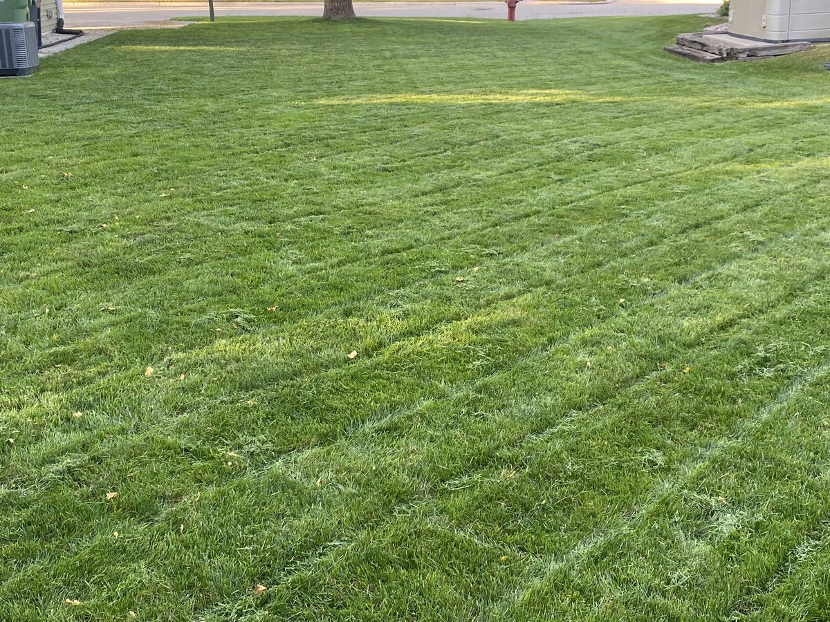 Doogiekoster23's tweet photo. I mean. #fallmowing #cheers https://t.co/u3eAH3s5fq