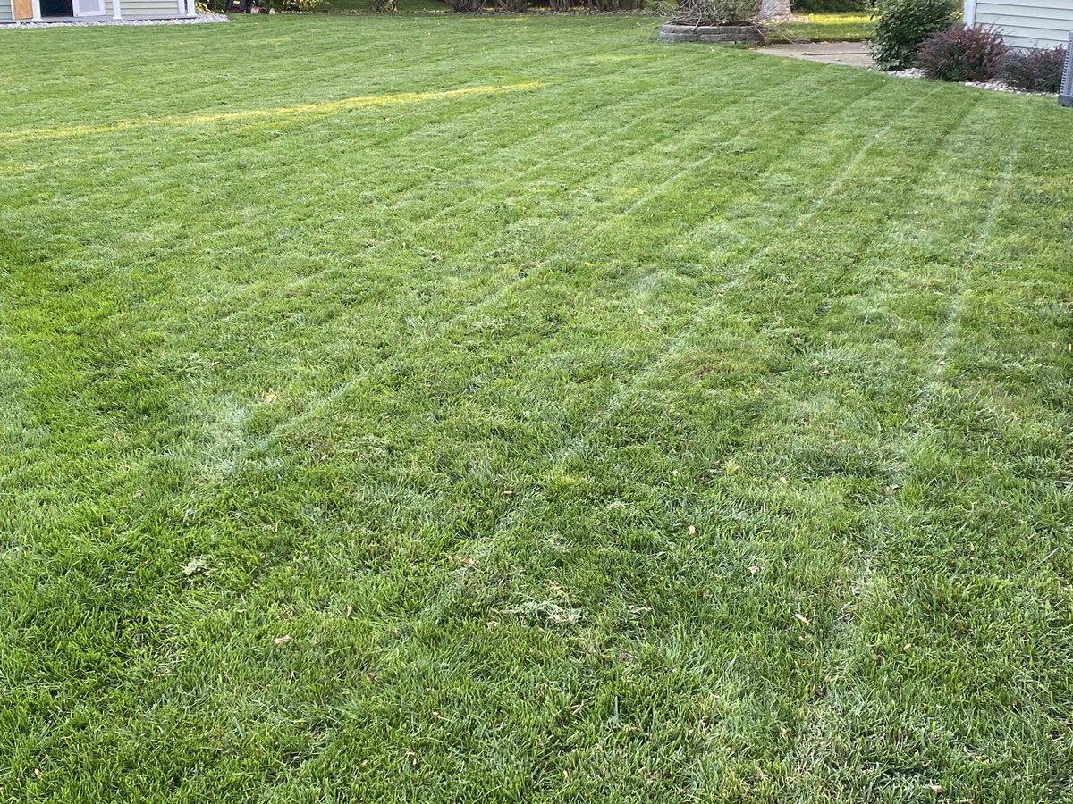 Doogiekoster23's tweet photo. I mean. #fallmowing #cheers https://t.co/u3eAH3s5fq