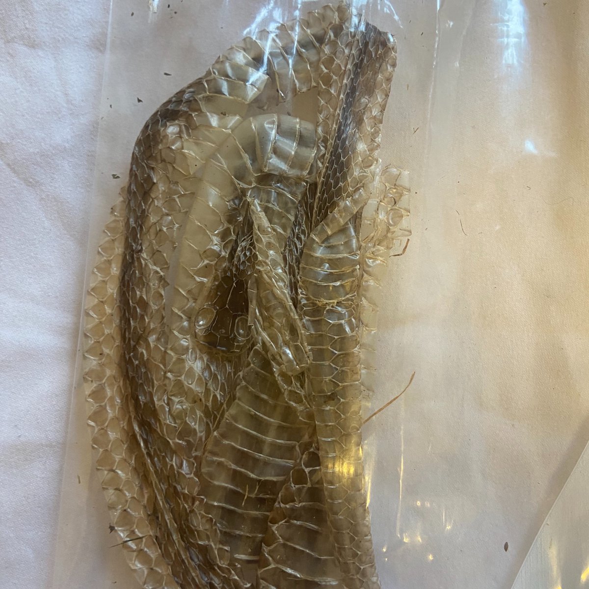 LetterZe's tweet image. Old trade sent me this youtu.be/BHRlxefKT_o?si…

And gave me this