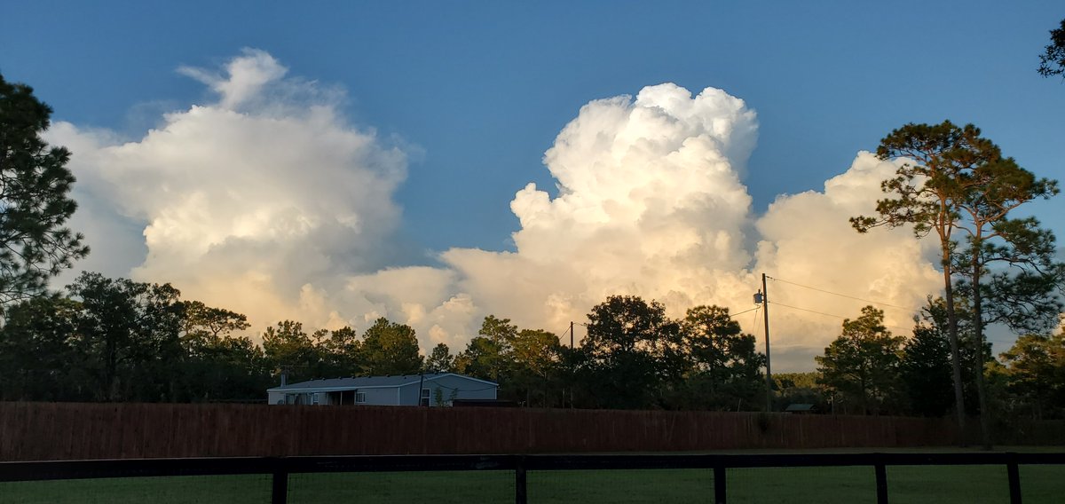 InlandK9SAR's tweet image. Gainesville thunderboomers
#FLwx #clouds
#WagnTailsRanch