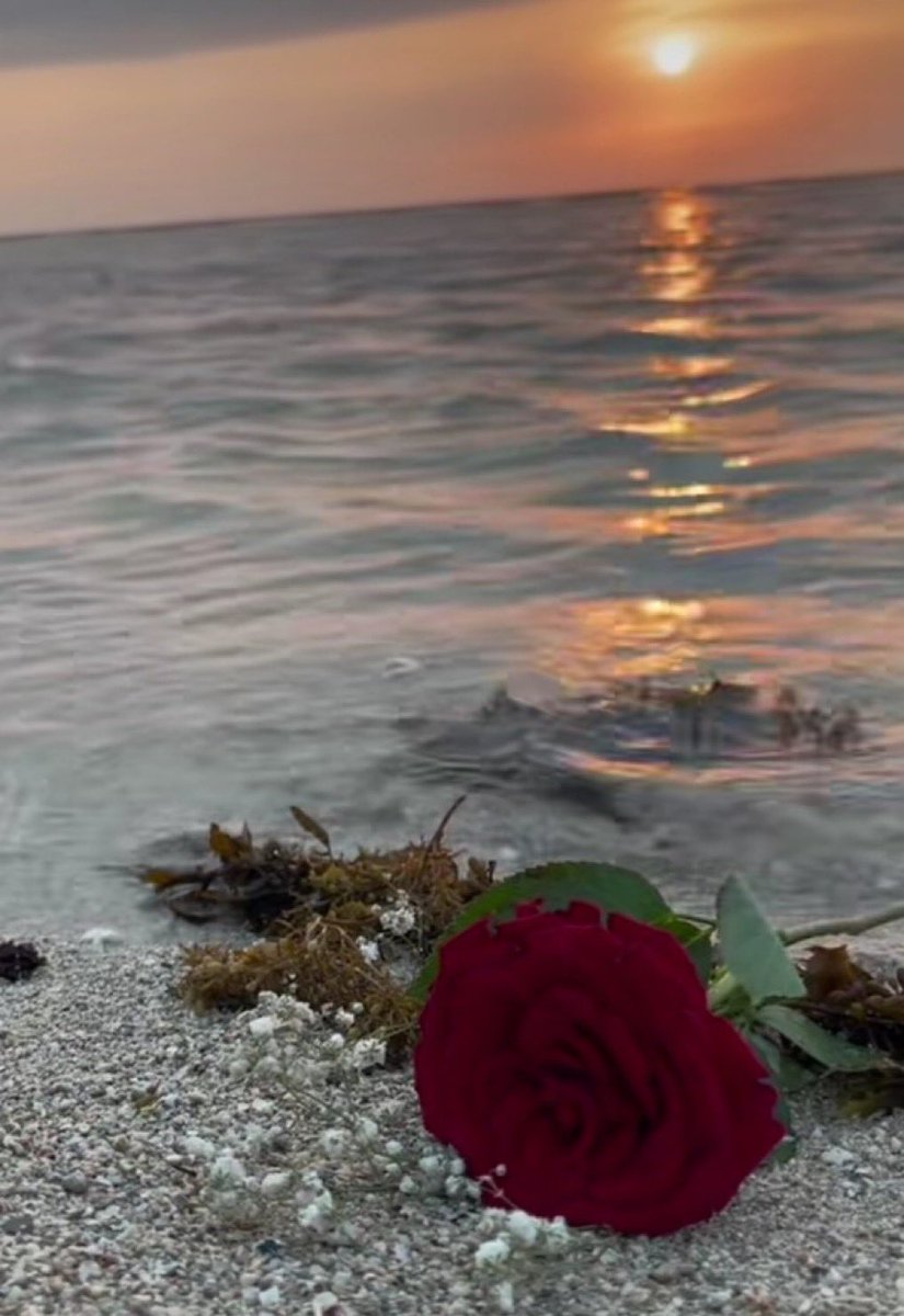 ليتك علمتني قبل لا ابتلي فيك....
انك سحابة صيف ما تروي ظمأ.....