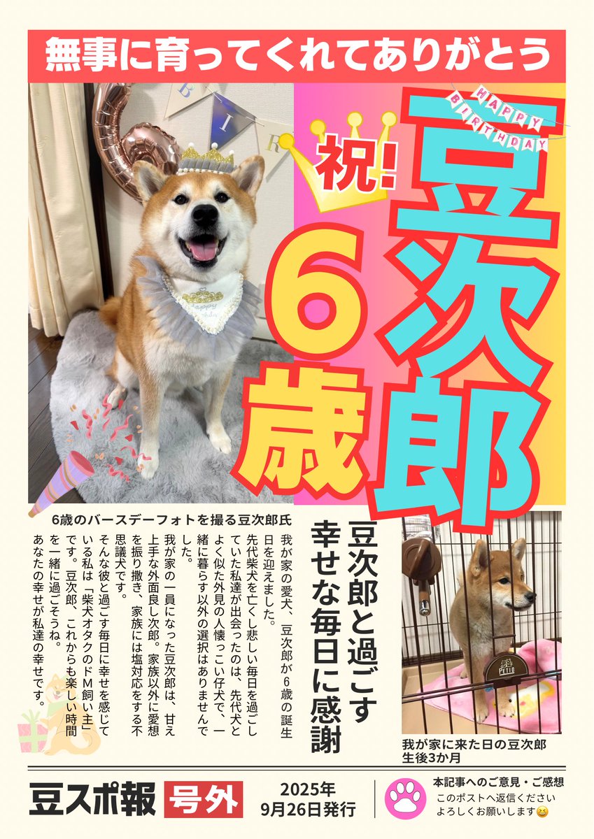 しばわんこ (@48dogchat1mame2) / Posts / X