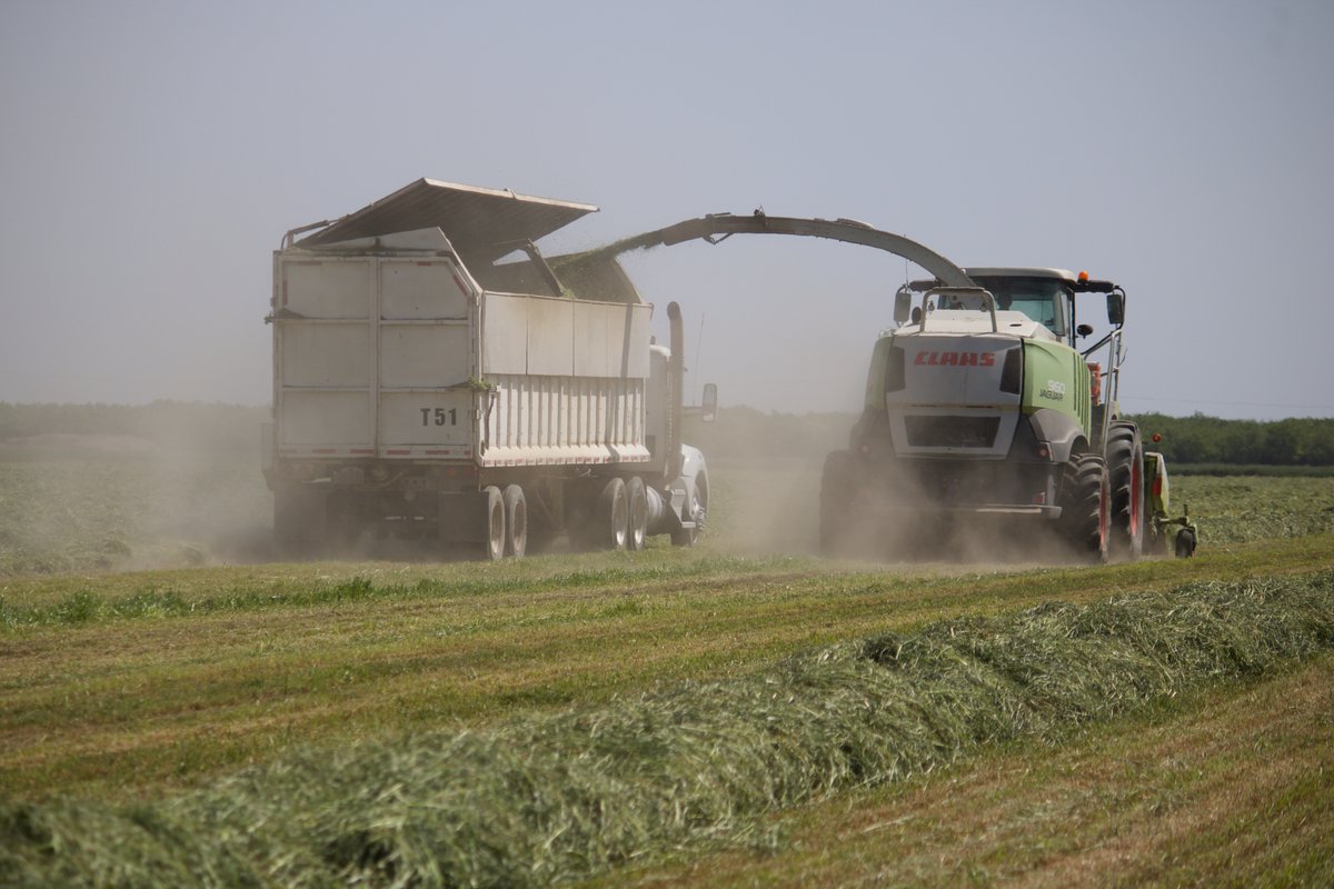 As often as we celebrate harvests in Cali, farmers think ahead to the next planting &amp; post-harvest nutrition multiple times a year. Our product lineup benefits growers of all types &amp; stages. From conventional to full regen we make sure inputs fit the budget &amp; harvest goals.