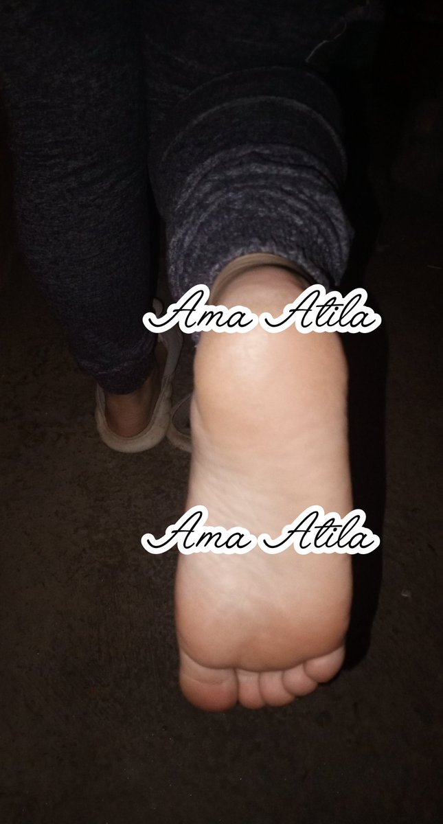 #sumiso ven a lamerlos todo perro sucio lame culo picha corta #femdom #findom 🤣🤣🤣🤣
