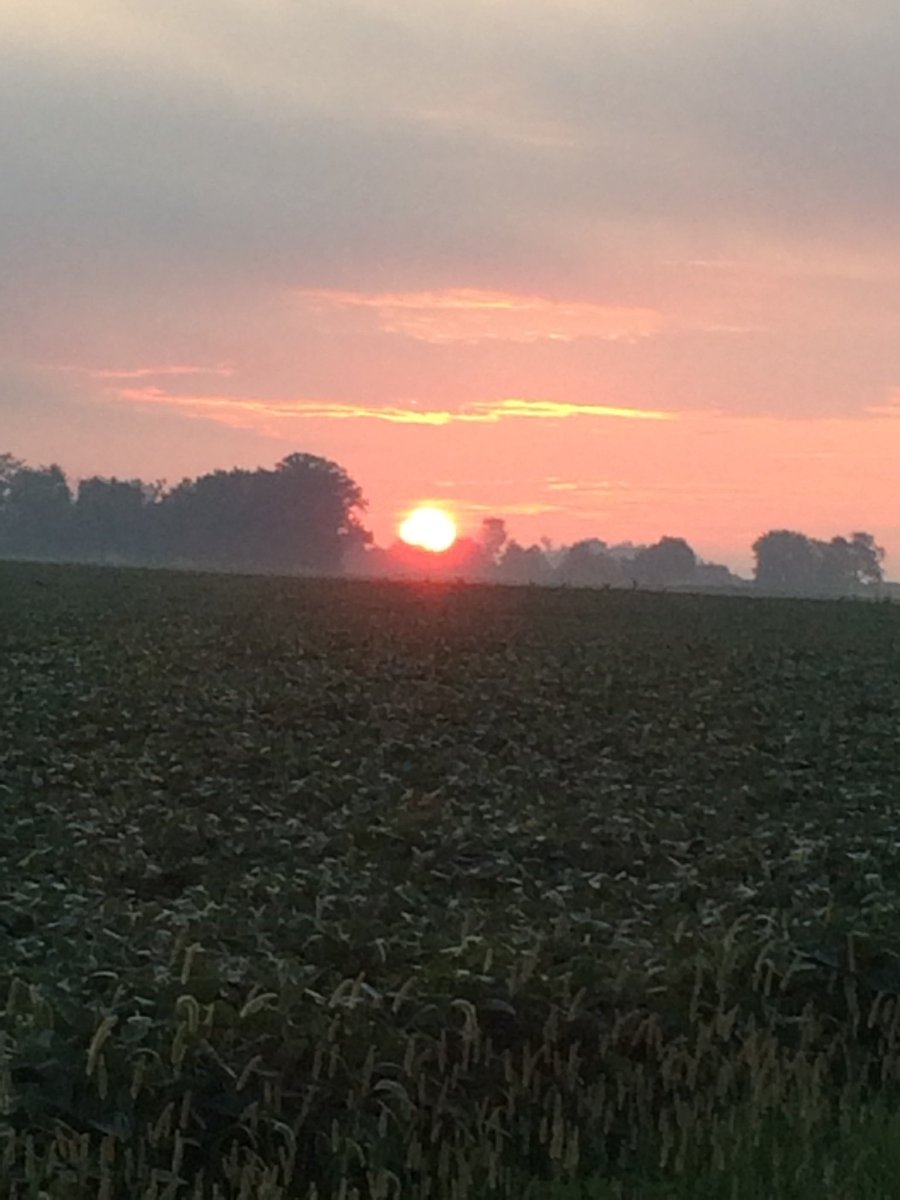 GrittyPositivity tweet media