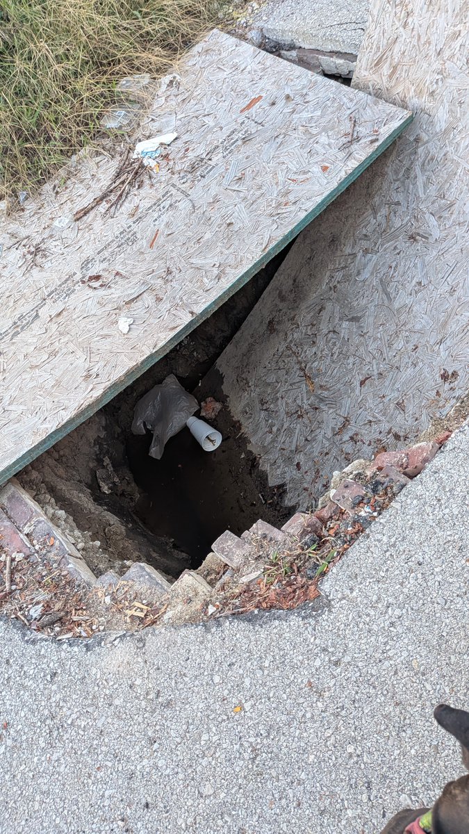 AddVerb Superb tweet media