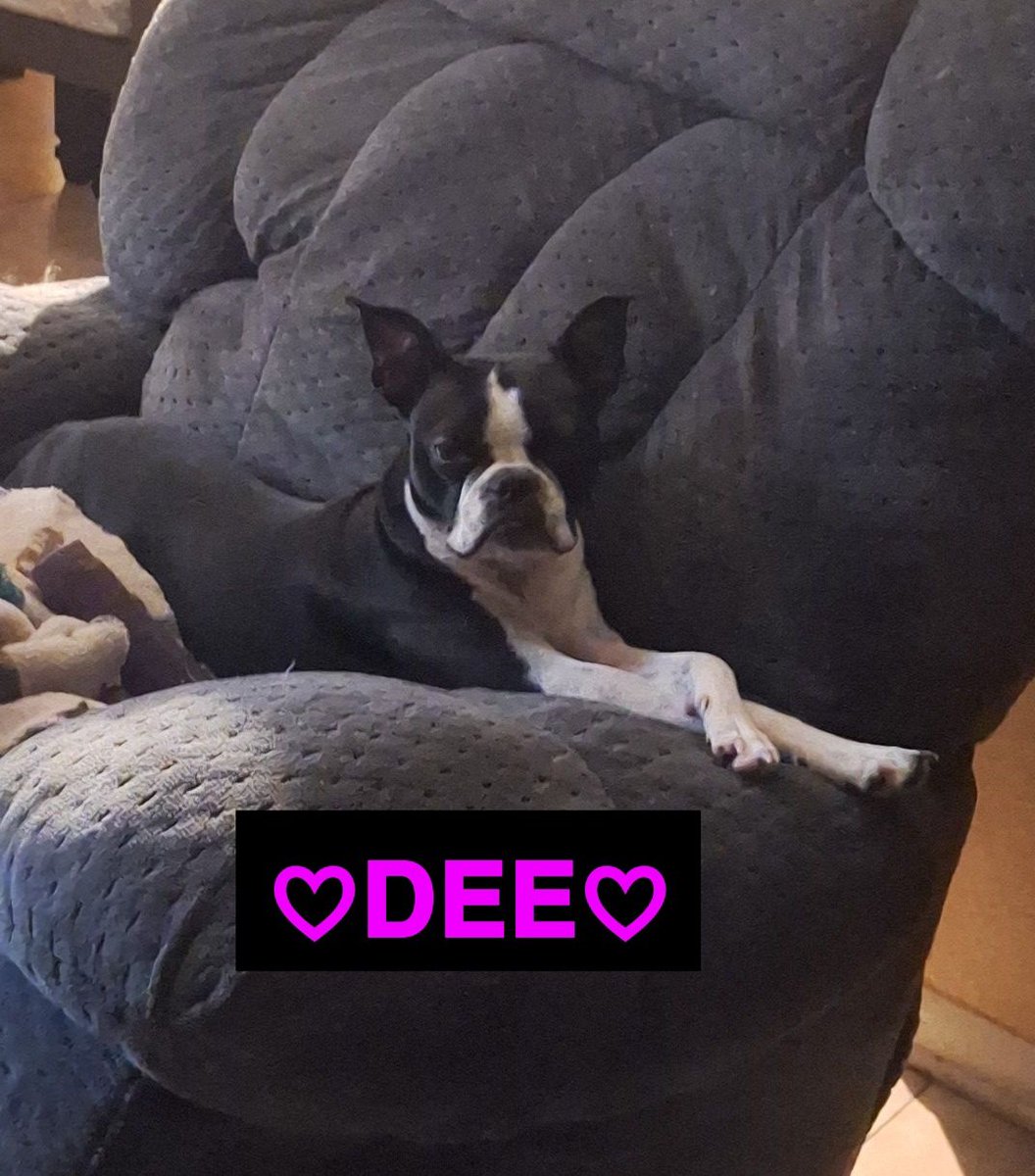 BELLÂ♡💜✨️💜♡ tweet media
