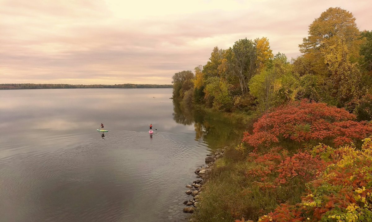 standuppaddletv's tweet image. Autumn paddles in Ontario paint the water in shades of gold and crimson. 🍁✨
Photo: Alex Guillaume
 #supconnect #paddleboarding #standuppaddle
Enter our photo contest and share your photos: supconnect.com/photo-contest-…