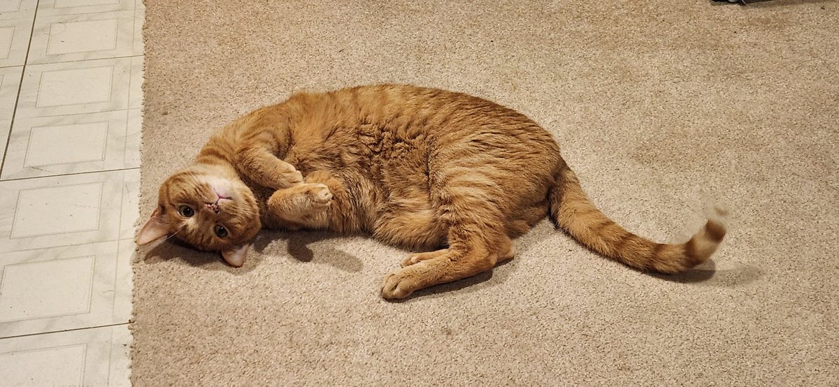 Injustice tweet media