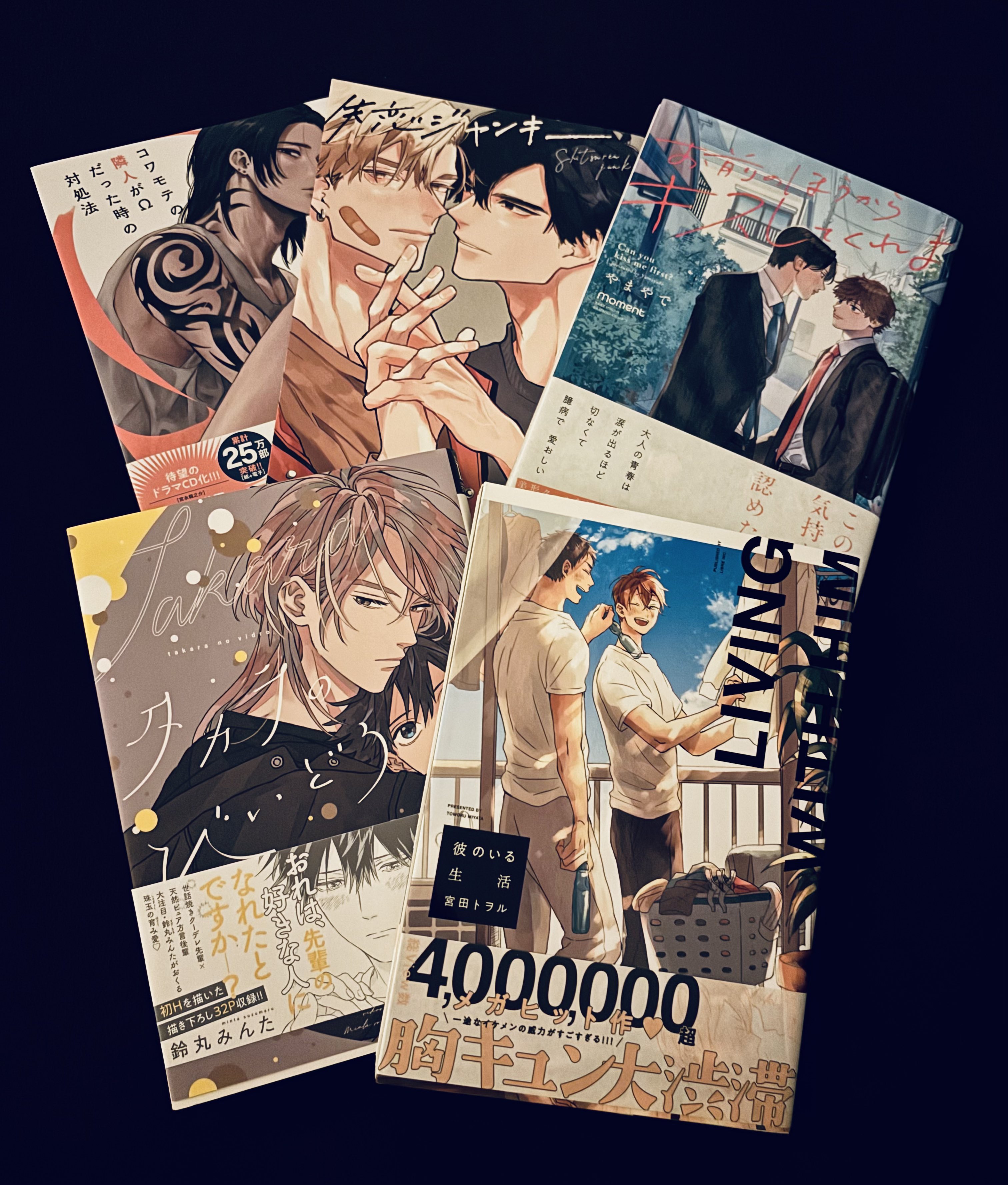 BLCD■エス■ドラマCD特典■FUN BOOK■ファンブック■非売品 Amazon.co.jp: BLCD エス ドラマ CD 特典 FUN BOOK ファンブック