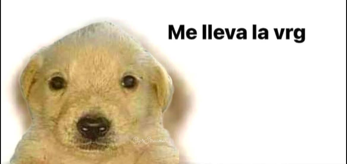 Thesupertrecker's tweet image. No lo puedo creer 

Por una mala administración en mi universidad, un mal entendimiento mío, y el tiempo hizo que no me inscribieran en este cuatrimestre 

1 mes ya en ingenieria y me tengo que esperar 4 meses para volver a seguir estudiando 

Neta, jodanse todos y tmb yo