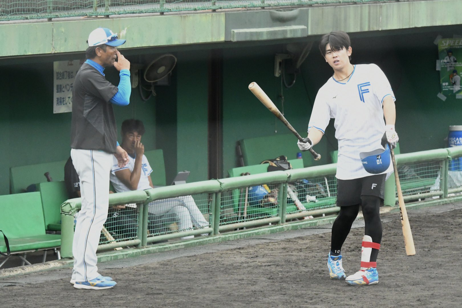 稲葉篤紀 - Search / X