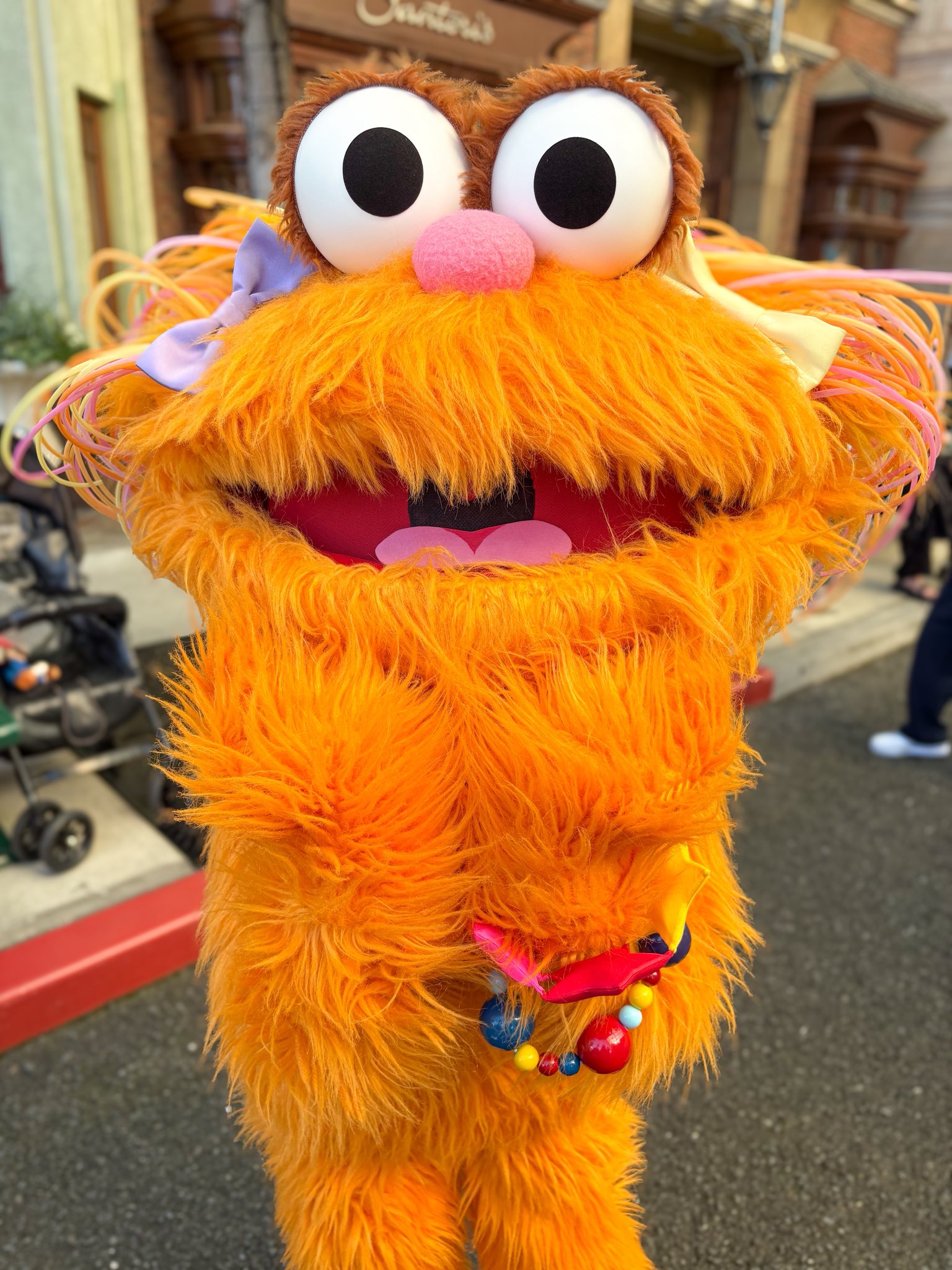 セサミストリート - Search / X