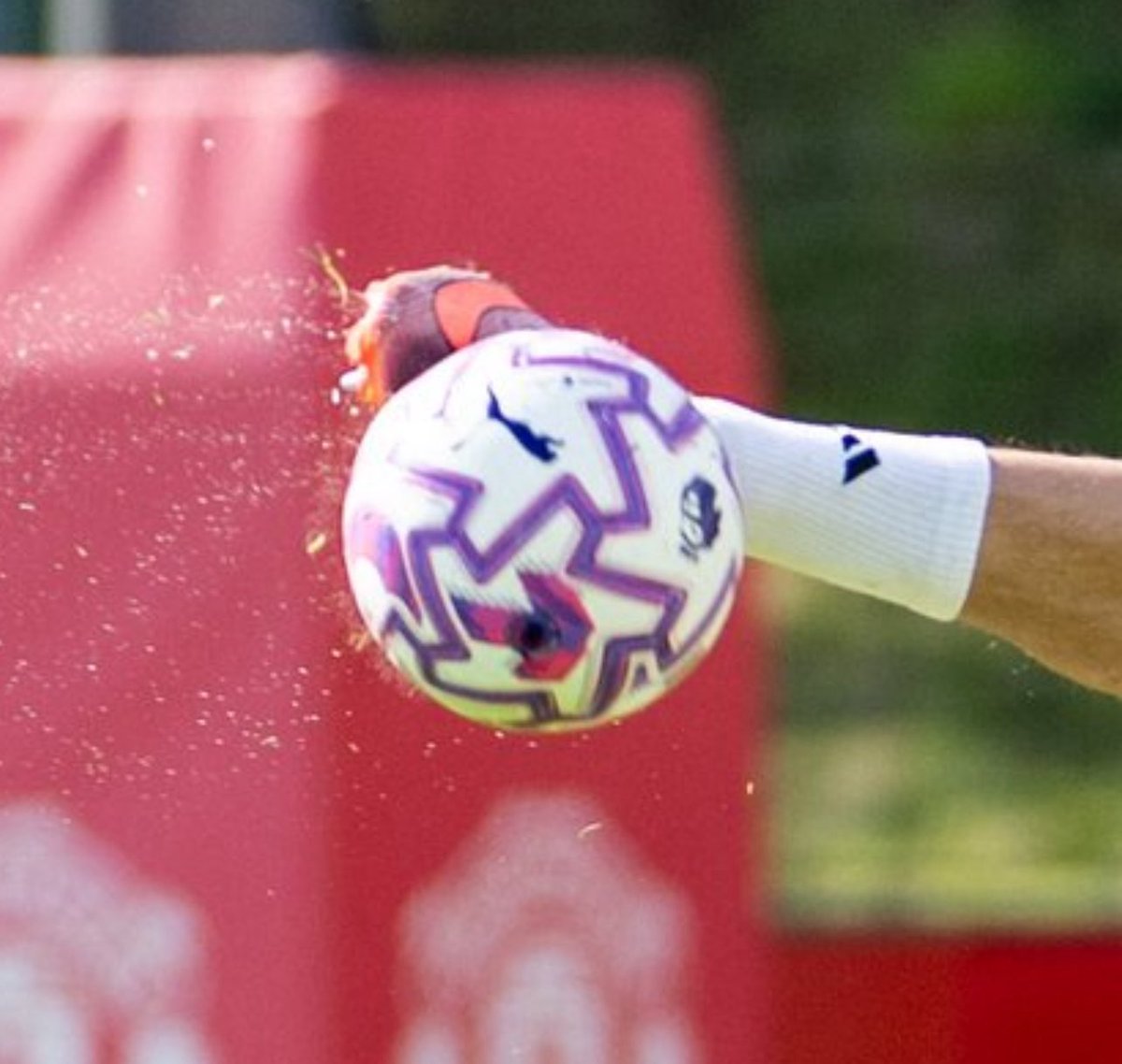 Who Is Gręgg🇿🇼? tweet media