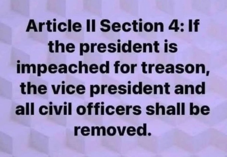 IF TRUMP GOES, VANCE, RUBIO AND REST OF HIS LACKEYS GO WITH HIM