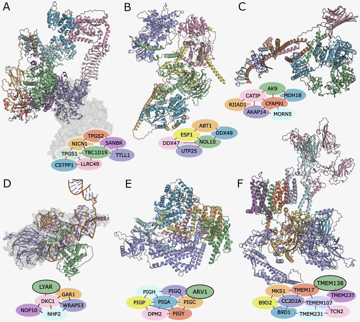 Ian Humphreys tweet media