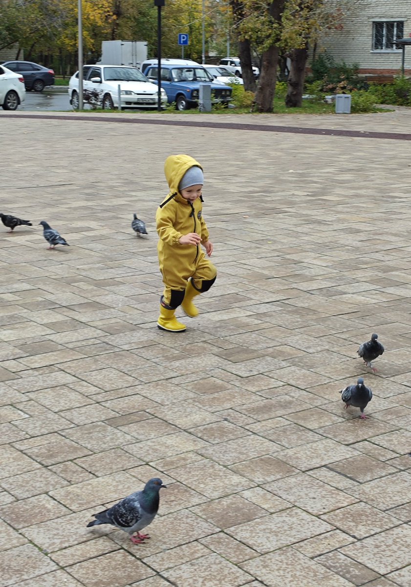 Погоня погоня погоня погоня 
В горячей крови