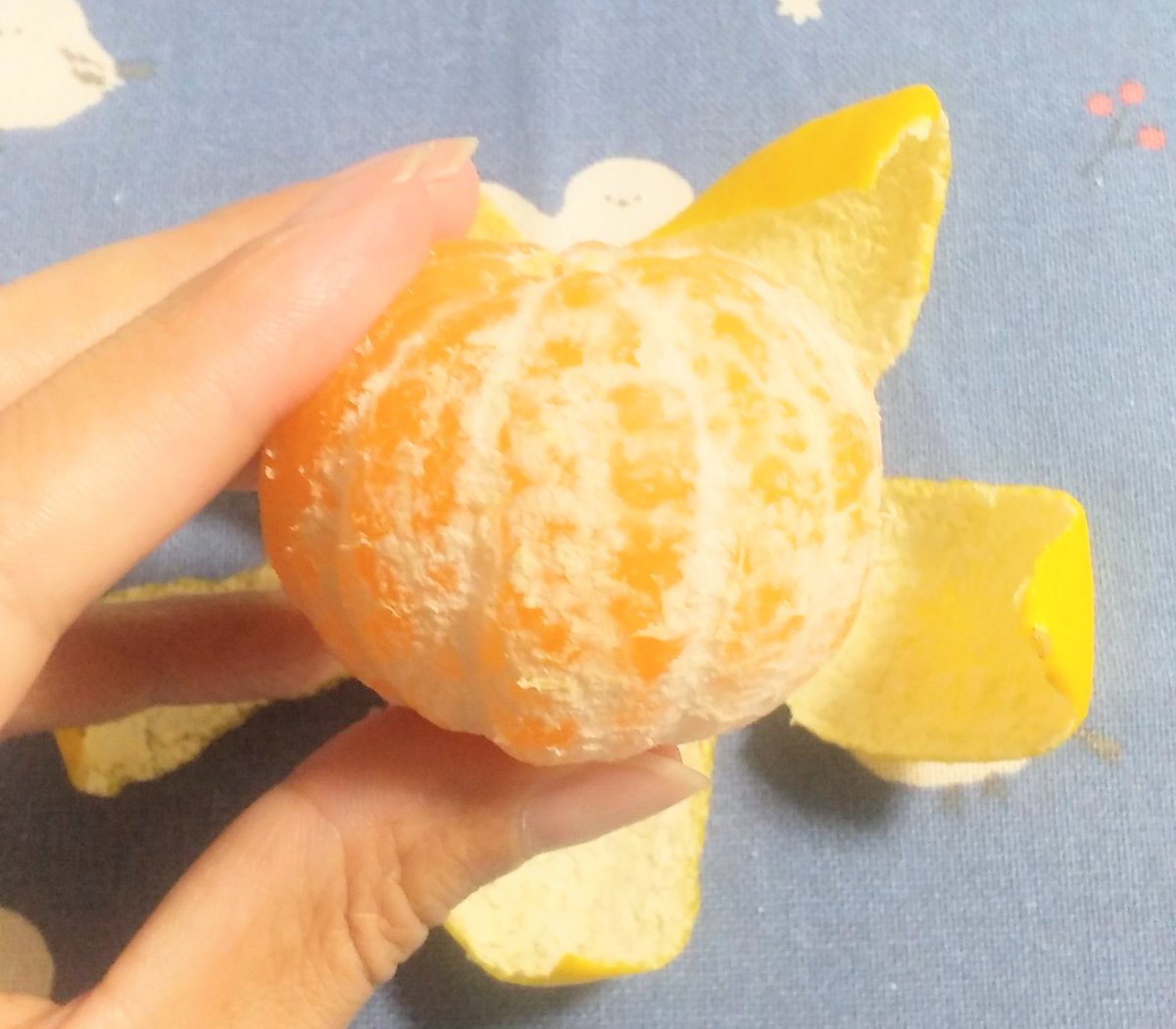 Run_Wantuber🐾 tweet media