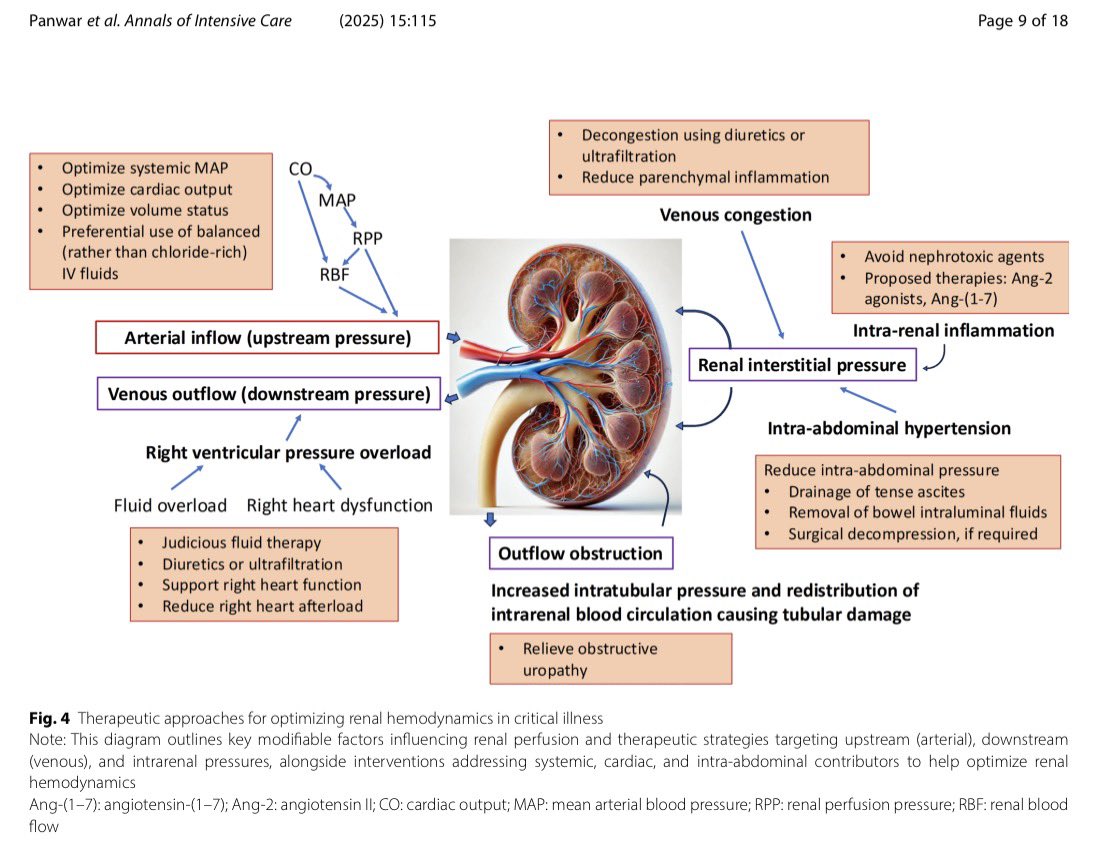 🚨Optimizing renal hemodynamics in critical illness requires a multi-hit approach

👉arterial inflow, venous outflow, RV pressure, intra-abdominal pressure &amp; intrarenal inflammation

🔗 doi.org/10.1186/s13613…

#AKI #ICU #Nephrology #CriticalCare