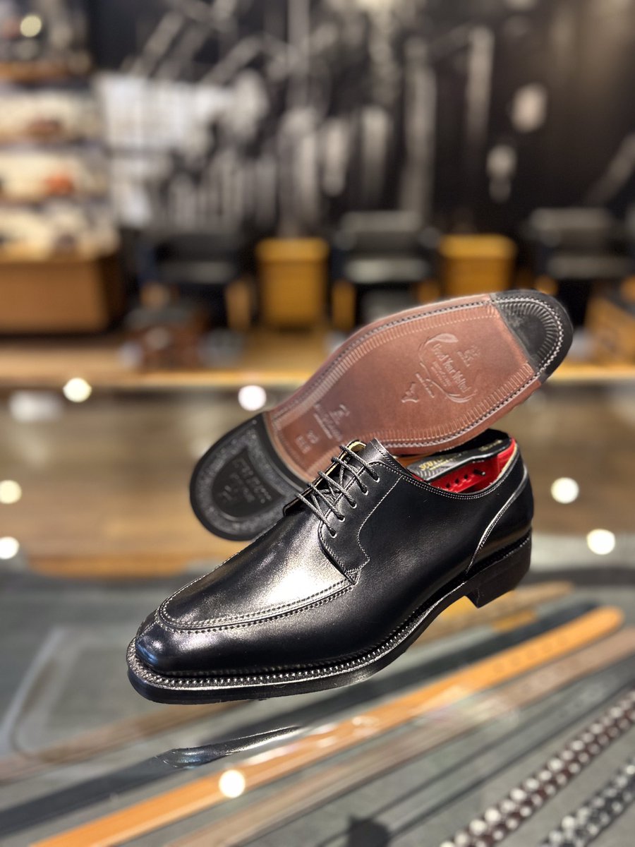 SCOTCHGRAIN - Search / X