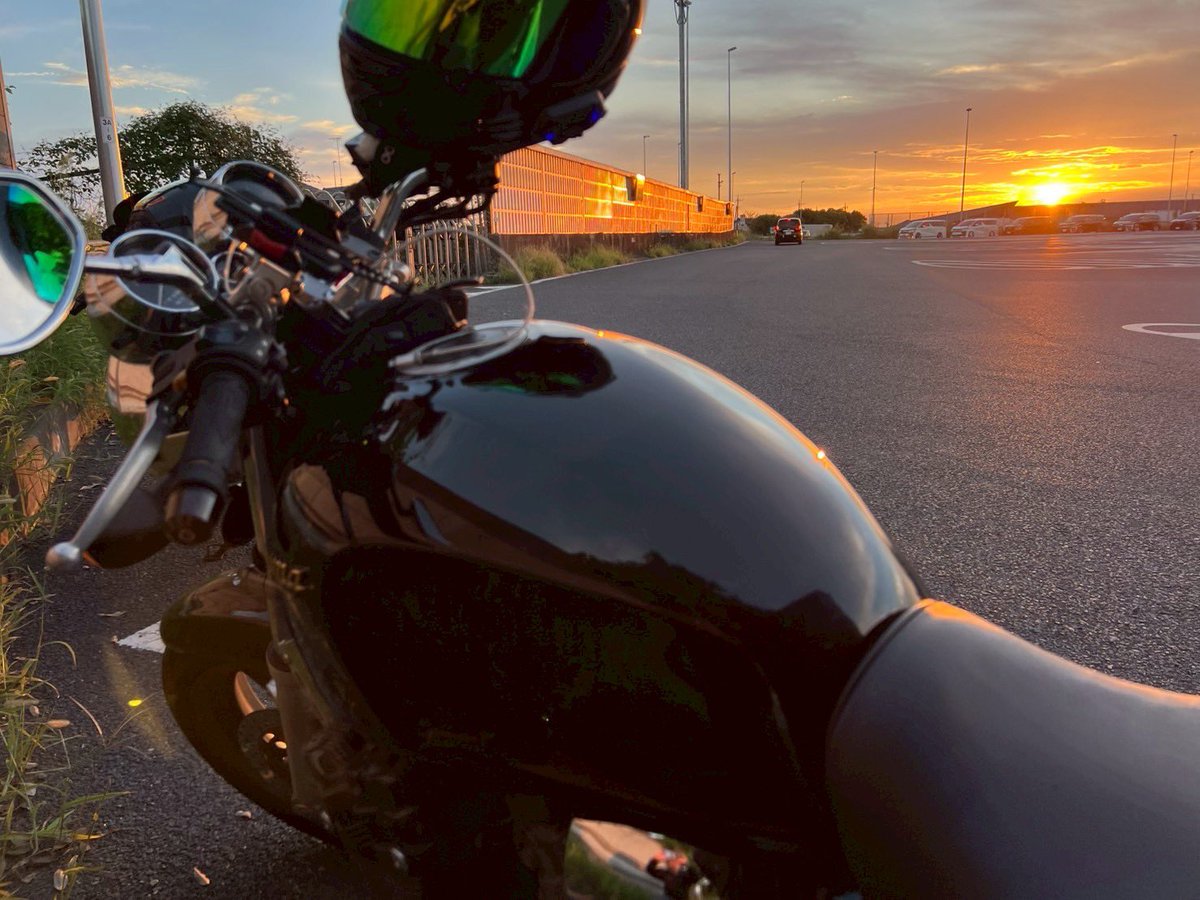 みっす🪼🌸 tweet media