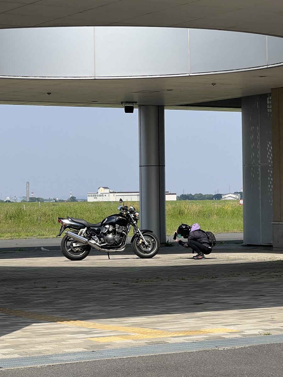 みっす🪼🌸 tweet media