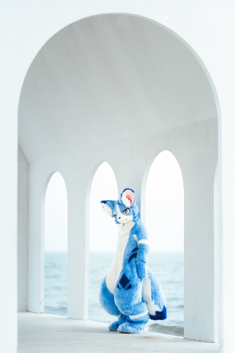 #FursuitFriday 
空空的日子还是走着
📷<a href="/chungou_cn/">📸風剣　NEXT👉万兽汇</a>