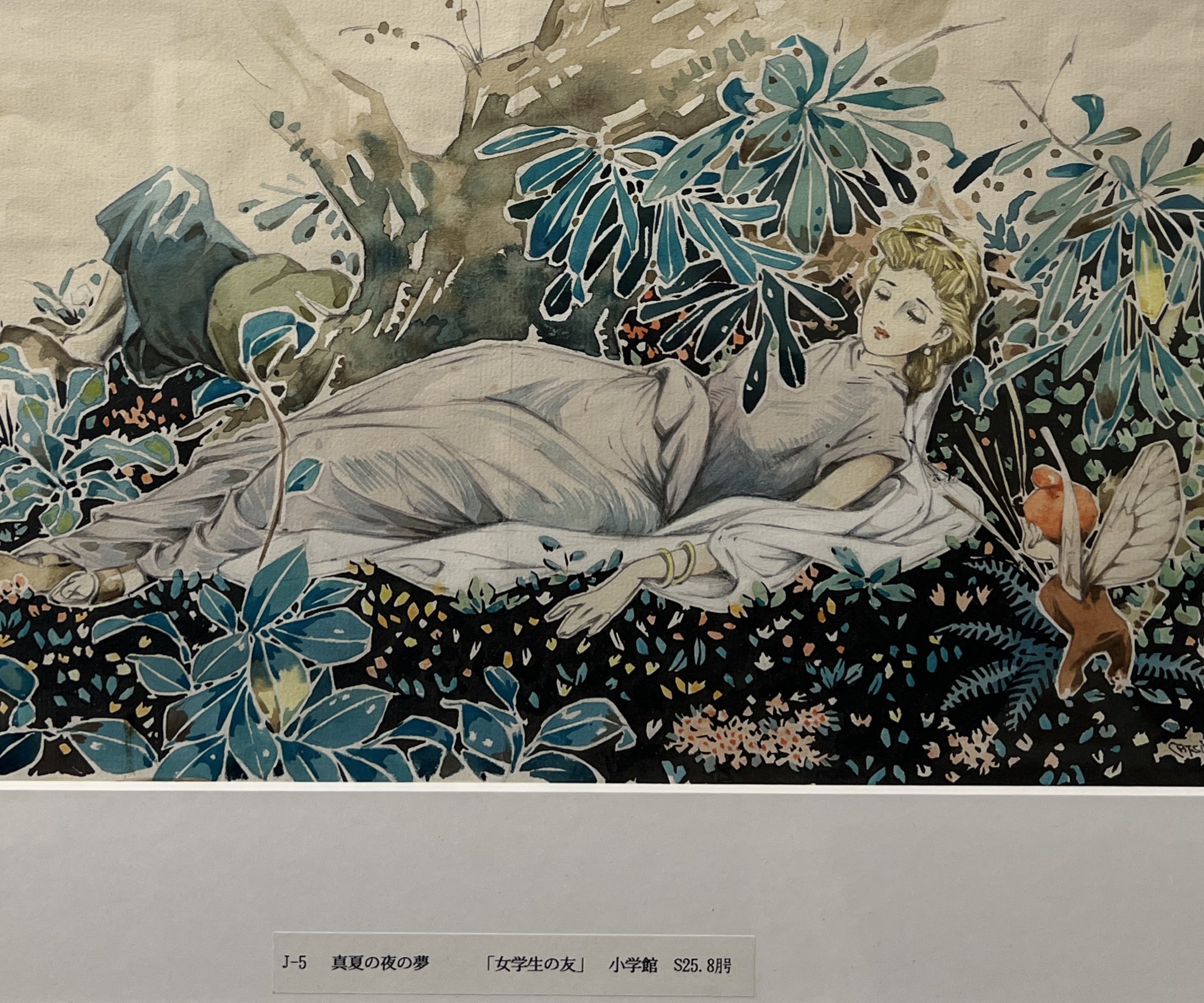 ぷうあさま専用（原画）創造と好奇心 ほか　10点おまとめ 瀬川深 Segawa Shin on X: 
